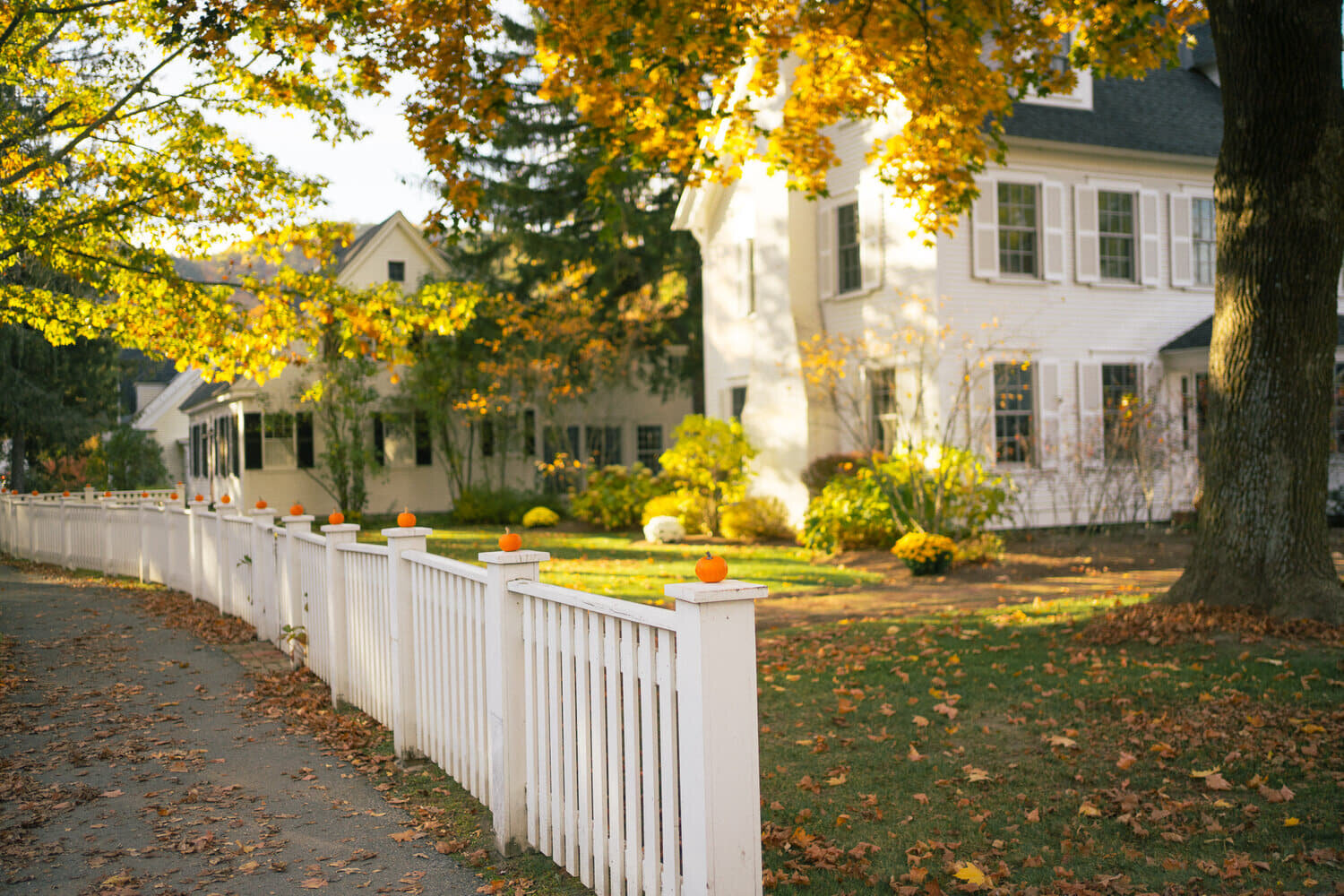 A Three-Day Itinerary to the Best of Fall in Vermont - Journal | Monica ...